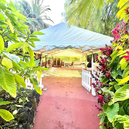 Apartamento Apartamento con estupendas piscinas y magnifica jardín en Puerto de la Cruz Puerto de la Cruz (Tenerife)