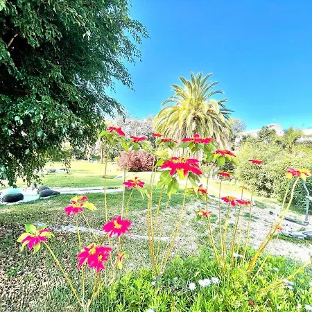 Apartamento Con Estupendas Piscinas Y Magnifica Jardin En Puerto De La Cruz *