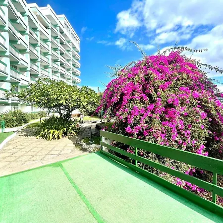 Appartement Apartamento Con Estupendas Piscinas Y Magnifica Jardin En Puerto De La Cruz *