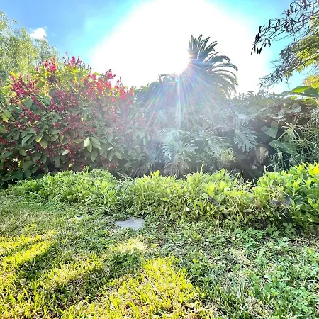 Apartamento Con Estupendas Piscinas Y Magnifica Jardin En Puerto De La Cruz Puerto de la Cruz (Tenerife)
