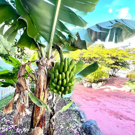 Apartamento Con Estupendas Piscinas Y Magnifica Jardin En Puerto De La Cruz * Puerto de la Cruz (Tenerife)